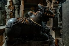 Bhuleshwar-Temple-Ride-37