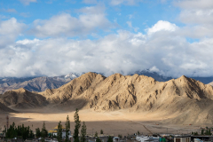 Ladakh-Leh-D9-215