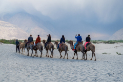 Ladakh-Nubra-D11-233