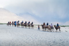 Ladakh-Nubra-D11-238