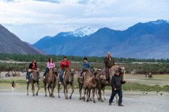 Ladakh-Nubra-D11-242