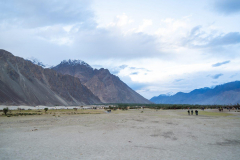 Ladakh-Nubra-D11-244