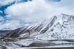 Ladakh-Nubra-D11-89