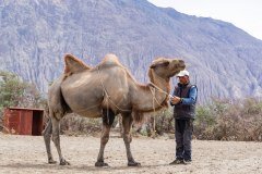 Ladakh-Diskit-D12-189