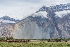 Ladakh-Diskit-D12-52