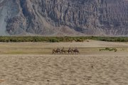 Ladakh-Diskit-D12-96