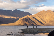 Ladakh-Pangong-D13-310