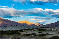 Ladakh-Pangong-D13-319