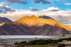 Ladakh-Pangong-D13-330
