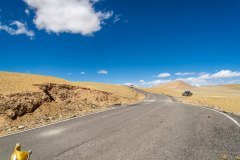 Ladakh-Umling-la-D15-28