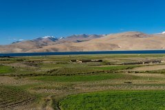Ladakh-Tso-Moriri-D16-102