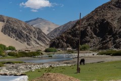 Ladakh-Tso-Moriri-D16-17