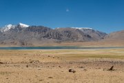 Ladakh-Tso-Moriri-D16-32