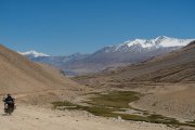 Ladakh-Tso-Moriri-D16-58