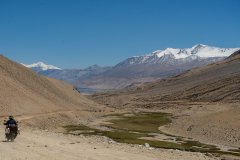 Ladakh-Tso-Moriri-D16-58