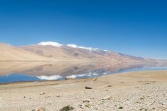 Ladakh-Tso-Moriri-D16-81
