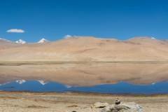 Ladakh-Tso-Moriri-D16-87