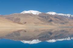 Ladakh-Tso-Moriri-D16-98