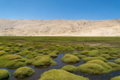 Ladakh-sarchu-D17-13