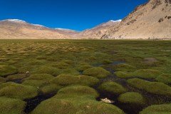 Ladakh-sarchu-D17-40