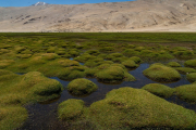 Ladakh-sarchu-D17-9