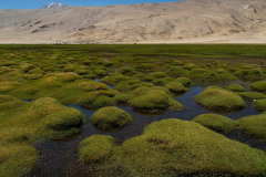 Ladakh-sarchu-D17-9