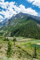 Ladakh-Mandi-D18-142