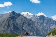 Ladakh-Mandi-D18-42