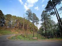 IMG20220614181549-01