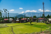 Ladakh-sonamarg-D6-15-1