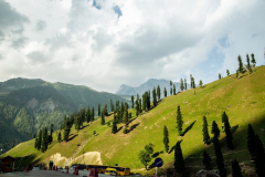 Ladakh-sonamarg-D6-231