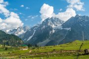 Ladakh-sonamarg-D6-234
