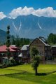 Ladakh-sonamarg-D6-28