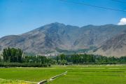 Ladakh-sonamarg-D6-34