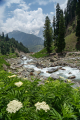 Ladakh-sonamarg-D7-126