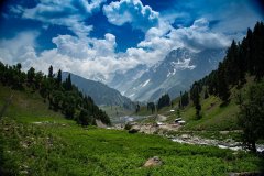 Ladakh-sonamarg-D7-130