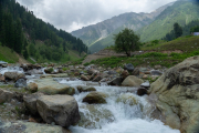 Ladakh-sonamarg-D7-133