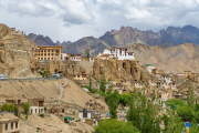 Ladakh-Leh-D9-146