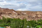 Ladakh-Leh-D9-164