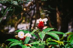 Devkund-trek-100