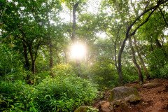 Devkund-trek-124
