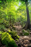 Devkund-trek-134