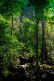 Devkund-trek-247