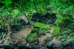 Devkund-trek-257