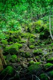 Devkund-trek-261