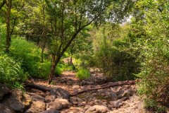 Devkund-trek-298
