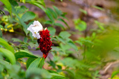Devkund-trek-301