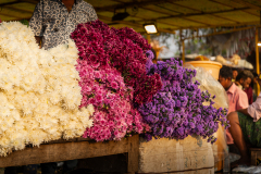 Hyderabad-Flower-Market-114
