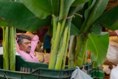 Hyderabad-Flower-Market-153