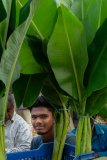Hyderabad-Flower-Market-154